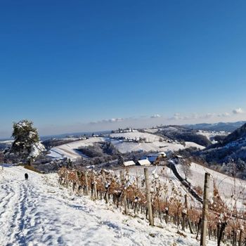 d499690e 4964 4d27c26 a6a1142bee1a