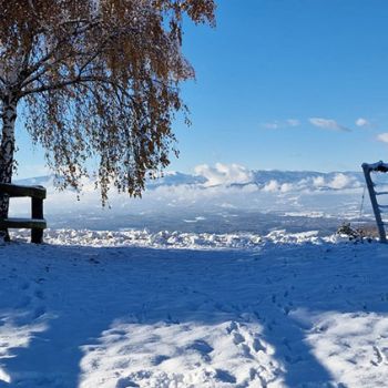 eb40d08f 2279 4df2 9453cf99cfa523